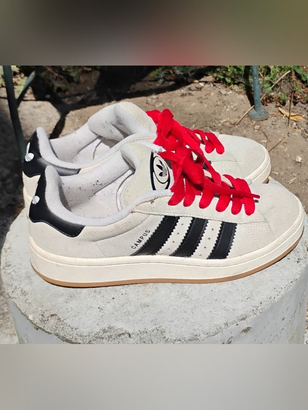 adidas Campus Sneakers in Cream with Black Stripes and Red Laces